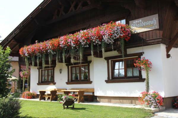 Waldesruh Apartment Niederthai Bagian luar foto